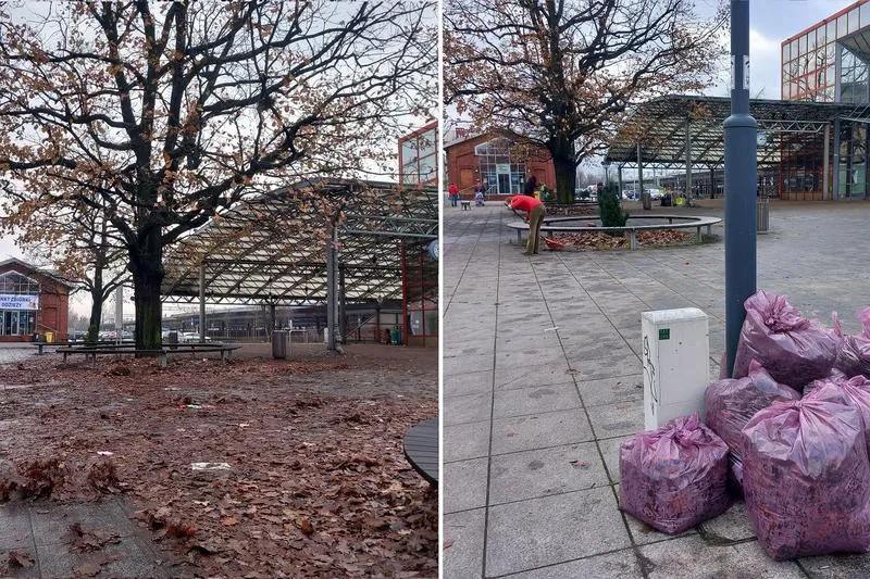 Jak efektywnie sprzątać otoczenie z pod domu czy spod domu?