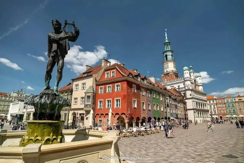 Najlepsze miejsca w Poznaniu do wywozu odpadów zielonych
