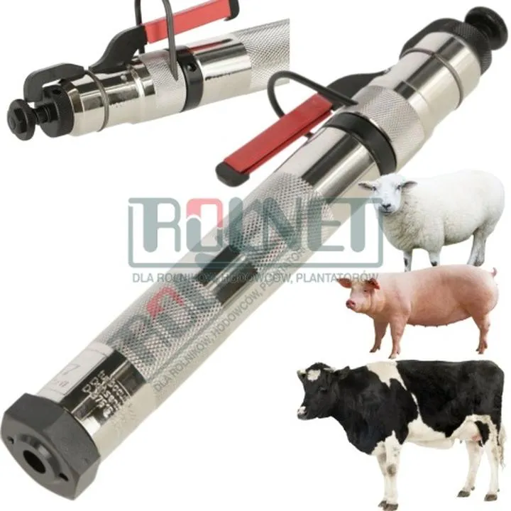 Zasady uboju świń w domowych warunkach w 2026 roku: co musisz wiedzieć?