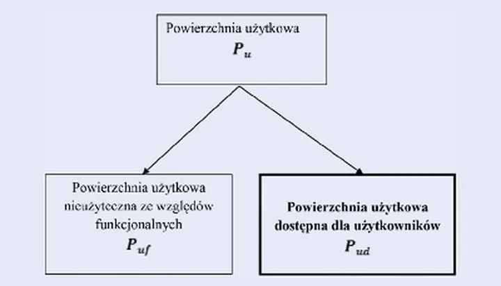 Kwalifikacja piwnicy do powierzchni użytkowej