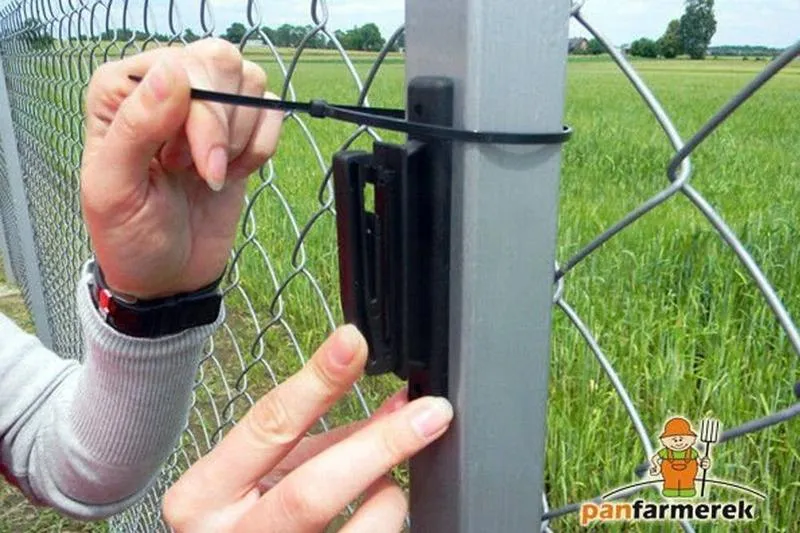 Montaż pastucha dla psa