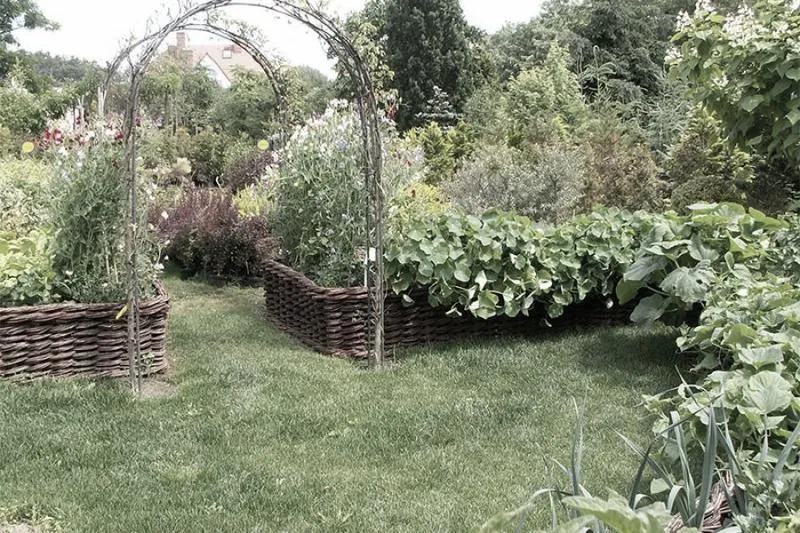 Najlepsze rośliny do ogrodu