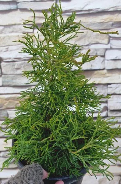 Nowoczesne rozwiązania w budowie