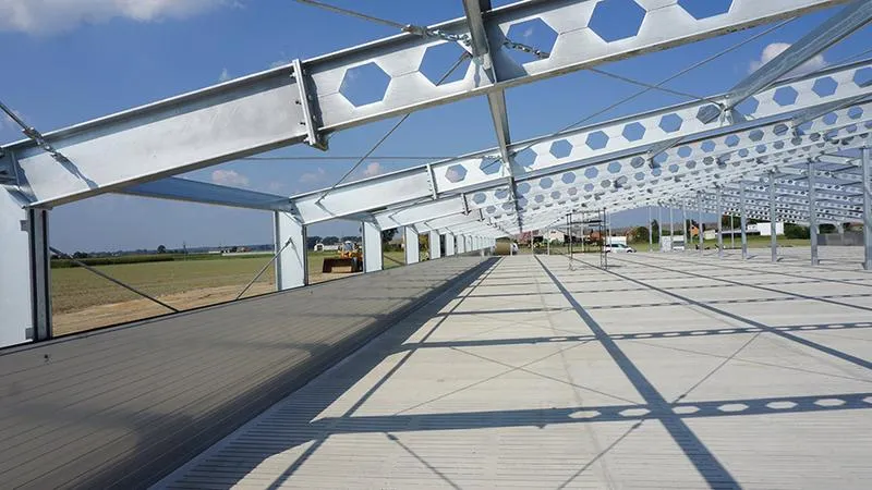 Nowoczesne technologie w chlewni