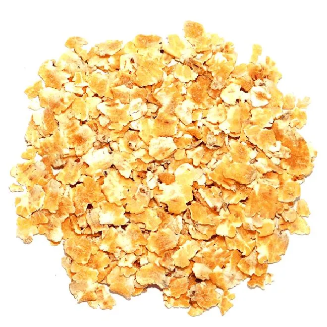 Porady zakupu kukurydzy