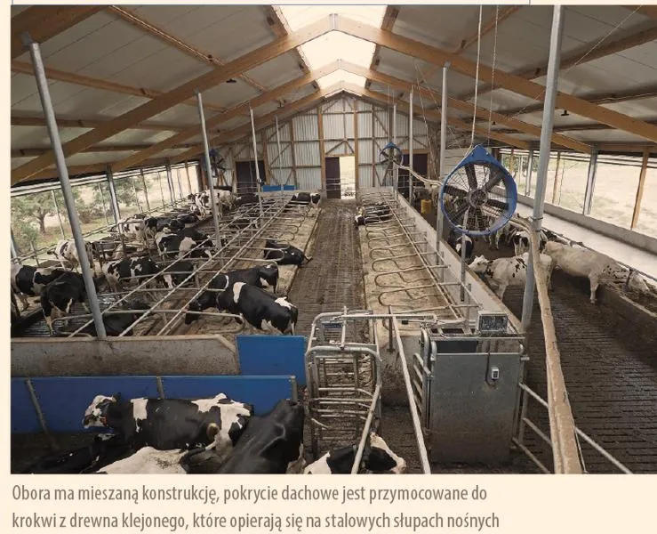 Tradycyjna a nowoczesna obora